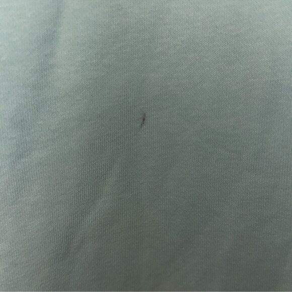 PELOTON L Mint Blue Green Classic Fleece Interior Crewneck Pullover Sweatshirt - Picture 15 of 15